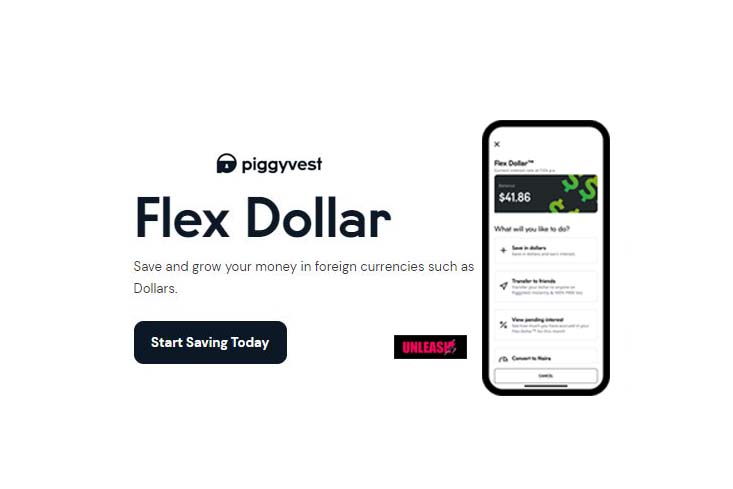 Piggyvest app: How to Invest or save in dollars with the App