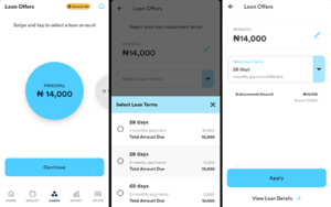 BRANCH LOAN APP HELP CENTER visual data 5