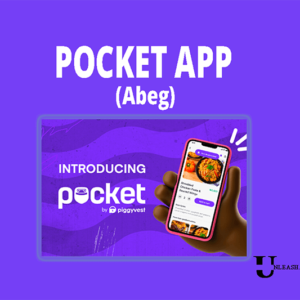 Pocket app by Piggyvest review