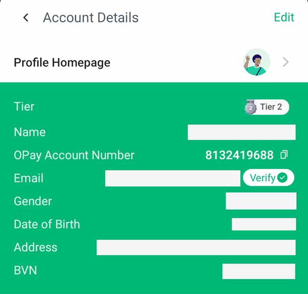 How to find Opay Account Number & Example