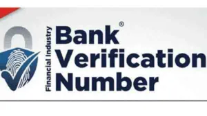 BVN (Bank Verification Number)