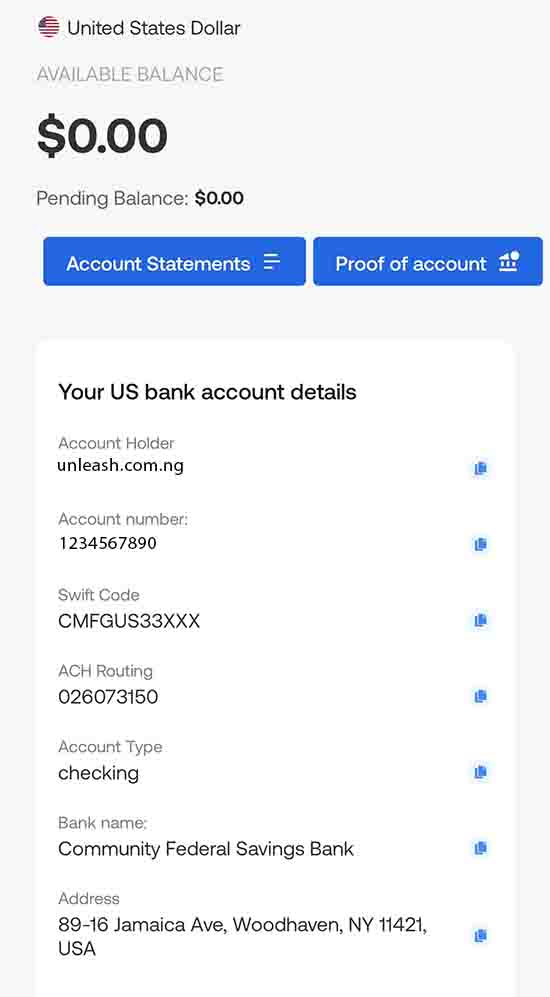 US Bank account details sample on Grey Finance