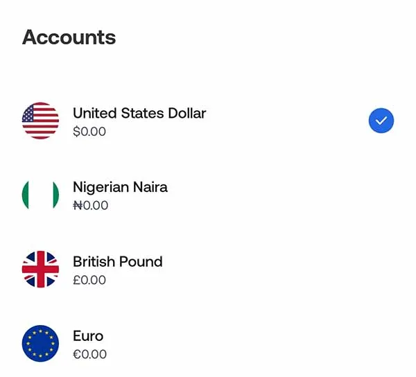 Grey USD account option