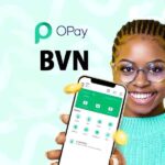 how to see my bvn number on my opay