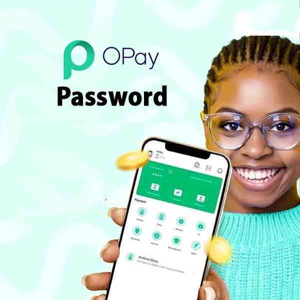 Reset Your Password On Opay App